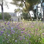 La Dimora Di Ulisse