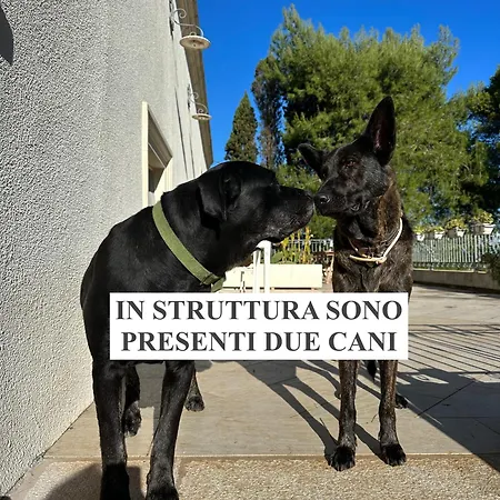 La Dimora Di Ulisse